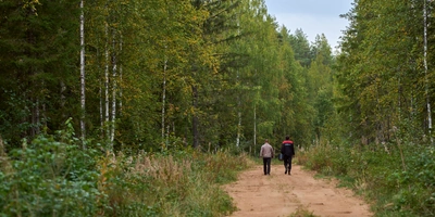 Какого поля ягода: редакция нашла в лесу замороженные дикоросы
