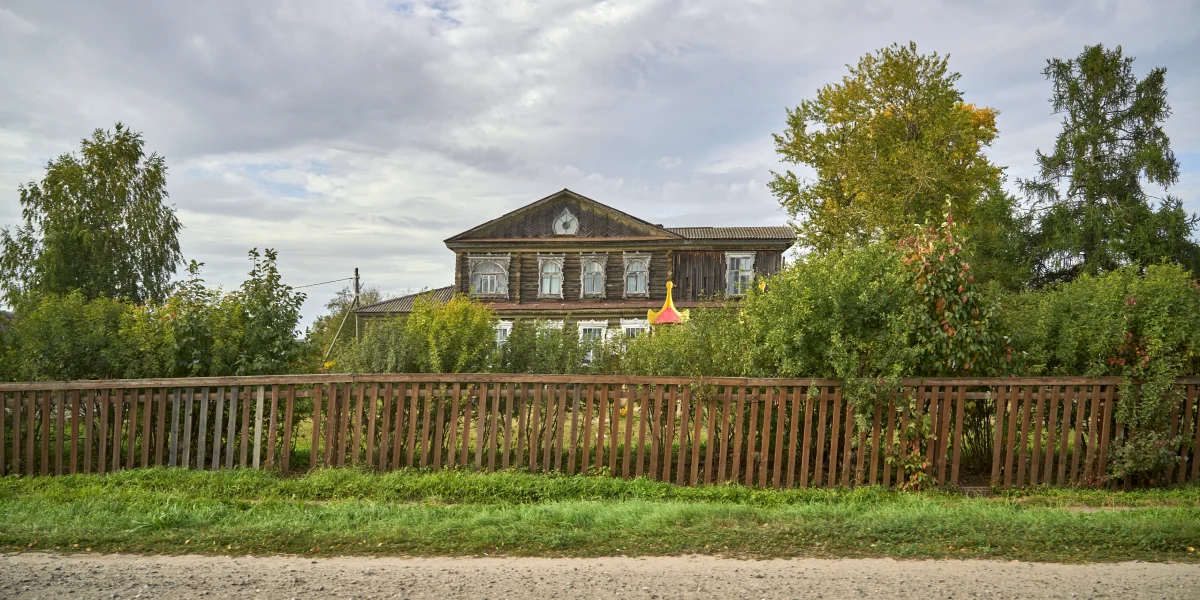 Какого поля ягода: редакция нашла в лесу замороженные дикоросы