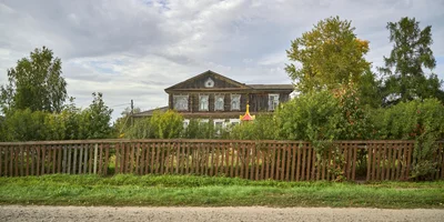 Какого поля ягода: редакция нашла в лесу замороженные дикоросы