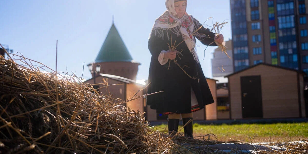 Показ старинного процесса сбора зерна © Фото Никита Луковников