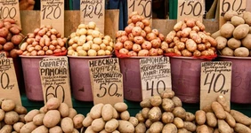 «Если рыба не дышит, с ней не разговаривают»: гуляем по рядам ростовского «Старбаза»