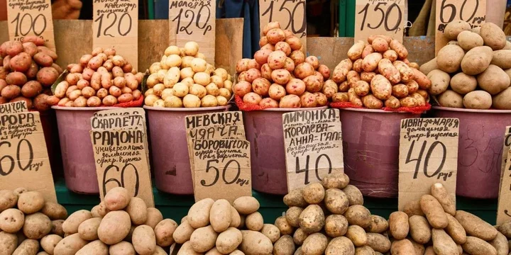 «Если рыба не дышит, с ней не разговаривают»: гуляем по рядам ростовского «Старбаза»