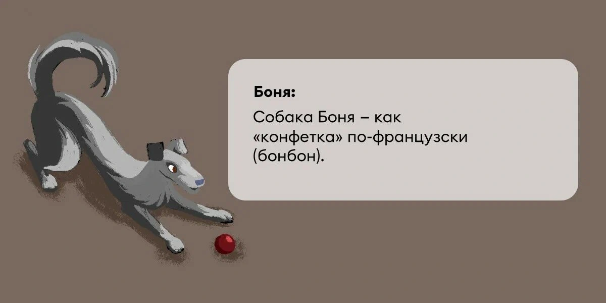 Исследование: в&nbsp;честь какой еды мы чаще всего называем своих питомцев?