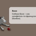 Исследование: в&nbsp;честь какой еды мы чаще всего называем своих питомцев?