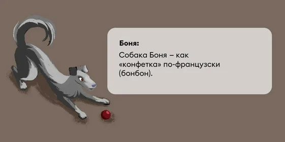 Исследование: в честь какой еды мы чаще всего называем своих питомцев?