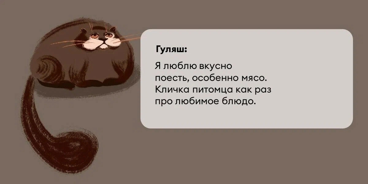 Исследование: в&nbsp;честь какой еды мы чаще всего называем своих питомцев?