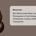 Исследование: в честь какой еды мы чаще всего называем своих питомцев?