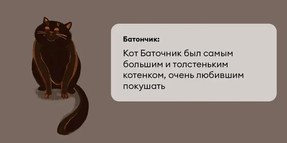 Исследование: в честь какой еды мы чаще всего называем своих питомцев?