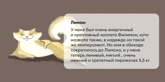 Исследование: в честь какой еды мы чаще всего называем своих питомцев?