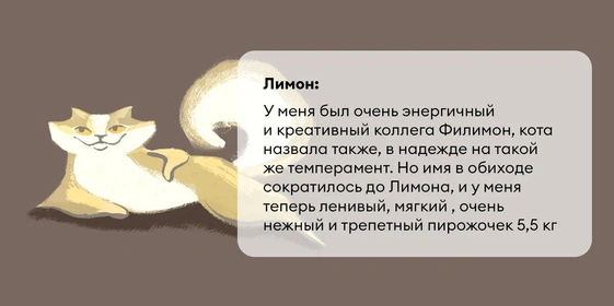 Исследование: в&nbsp;честь какой еды мы чаще всего называем своих питомцев?