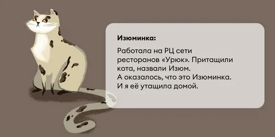 Исследование: в честь какой еды мы чаще всего называем своих питомцев?