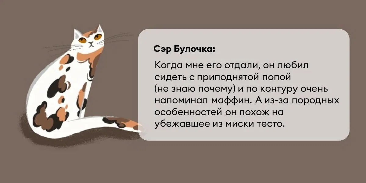 Исследование: в честь какой еды мы чаще всего называем своих питомцев?