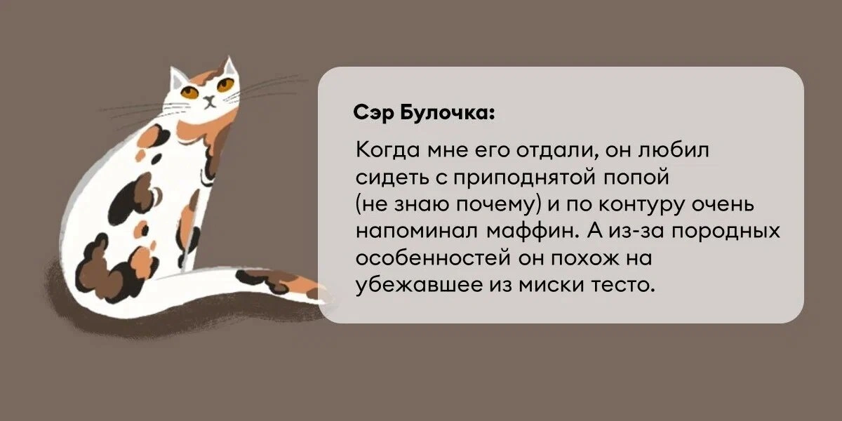 Исследование: в&nbsp;честь какой еды мы чаще всего называем своих питомцев?