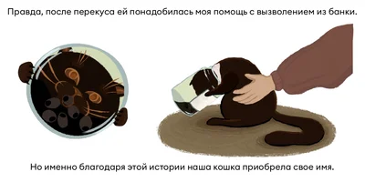 Исследование: в честь какой еды мы чаще всего называем своих питомцев?