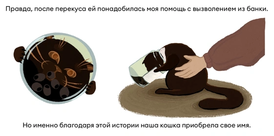 Исследование: в&nbsp;честь какой еды мы чаще всего называем своих питомцев?