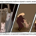 Исследование: в честь какой еды мы чаще всего называем своих питомцев?