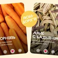 «Одинокая свёкла мечтает познакомиться»: правила осеннего фудпэйринга