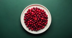 Всё о клюкве: польза, вред и как сохранить на зиму эту вкусную ягоду