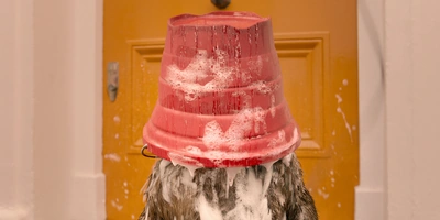 Почему Паддингтон ест мармелад? Разбор и&nbsp;смысл трилогии