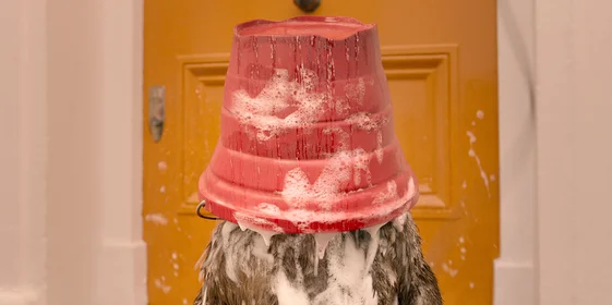 Почему Паддингтон ест мармелад? Разбор и смысл трилогии