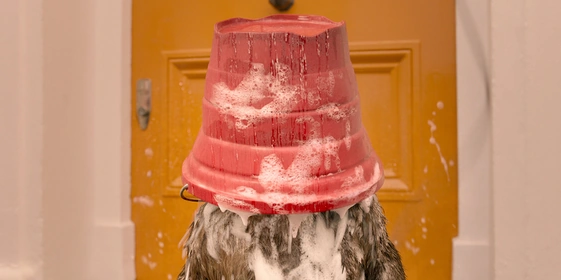 Почему Паддингтон ест мармелад? Разбор и&nbsp;смысл трилогии