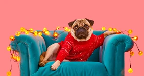 Две недели на диване: чем опасны ленивые праздники для здоровья