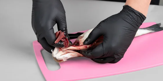 Как правильно разделать рыбу: советы и лайфхаки