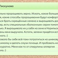 Истории, как читатели ВкусВилла на&nbsp;веганское и&nbsp;вегетарианское питание переходили