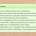 Истории, как читатели ВкусВилла на&nbsp;веганское и&nbsp;вегетарианское питание переходили