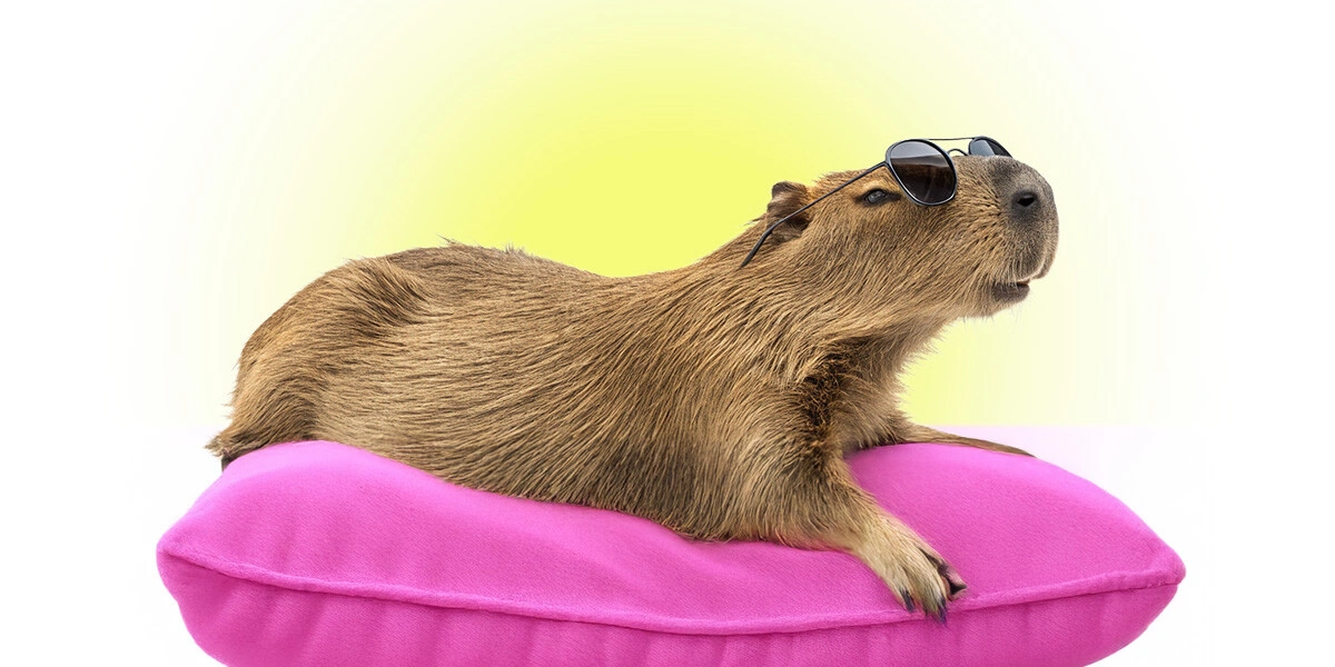 Зум на&nbsp;настоящее: 7 техник, которые научат жить здесь и&nbsp;сейчас