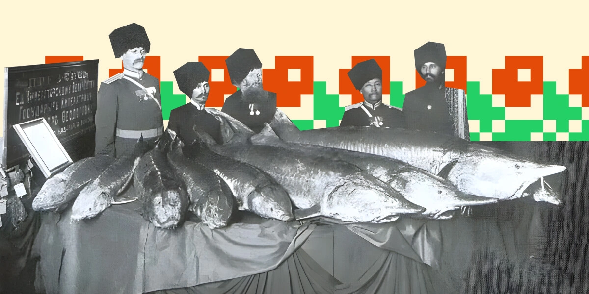 Уха из&nbsp;петуха, мёд из&nbsp;арбуза и&nbsp;кофе с&nbsp;селёдкой. Кухня донских казаков тогда и&nbsp;сейчас