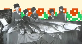 Уха из петуха, мёд из арбуза и кофе с селёдкой. Кухня донских казаков тогда и сейчас