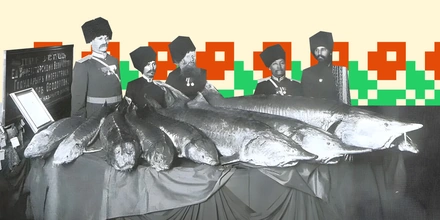 Уха из&nbsp;петуха, мёд из&nbsp;арбуза и&nbsp;кофе с&nbsp;селёдкой. Кухня донских казаков тогда и&nbsp;сейчас