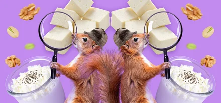 Ищем белок: в каких продуктах больше?