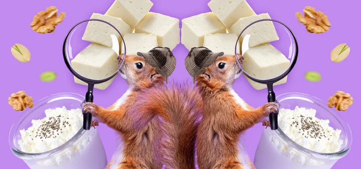 Ищем белок: в каких продуктах больше?