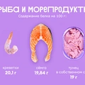Ищем белок: в&nbsp;каких продуктах больше?