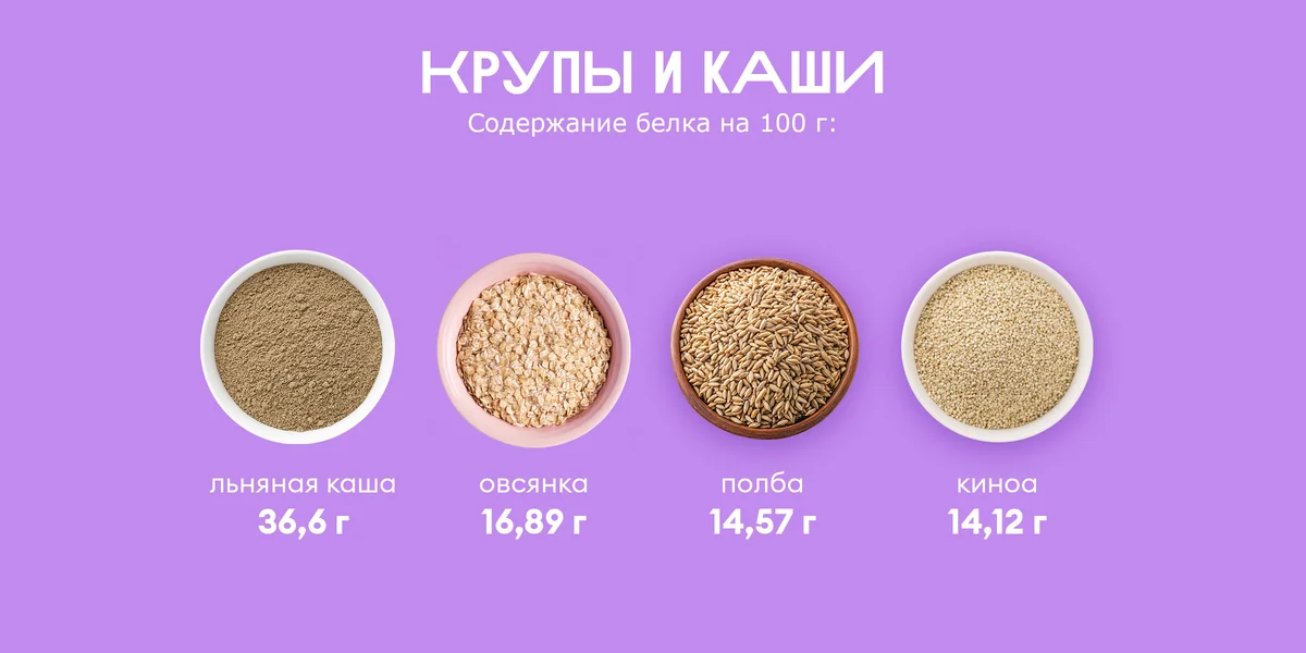 Ищем белок: в каких продуктах больше?