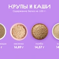 Ищем белок: в&nbsp;каких продуктах больше?