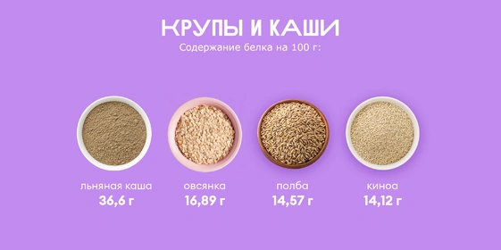 Ищем белок: в&nbsp;каких продуктах больше?