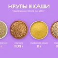Ищем белок: в каких продуктах больше?