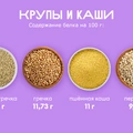 Ищем белок: в&nbsp;каких продуктах больше?