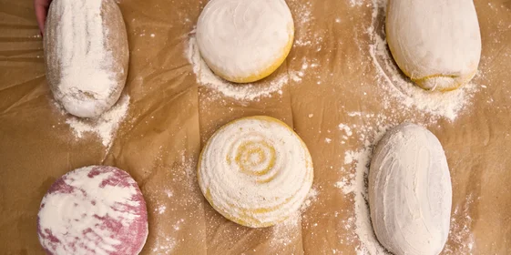 Как актриса превратила хлеб в холсты