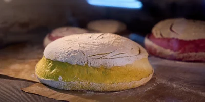 Как актриса превратила хлеб в холсты