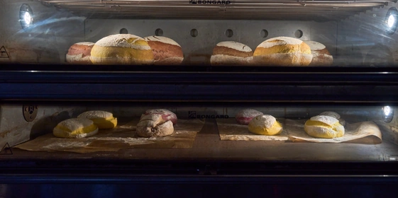 Как актриса превратила хлеб в&nbsp;холсты