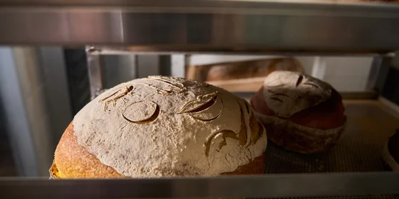 Как актриса превратила хлеб в холсты