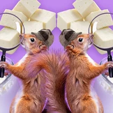 Ищем белок: в каких продуктах больше?