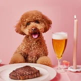 «Пива мне и моей собаке». Зачем мы это покупаем?