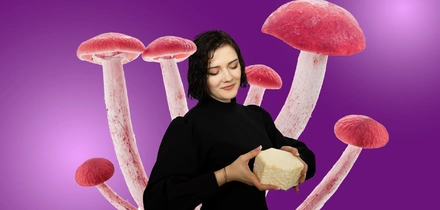 Я выращиваю мебель из&nbsp;грибов и&nbsp;мусора. Посмотрите сами