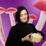 Я выращиваю мебель из грибов и мусора. Посмотрите сами