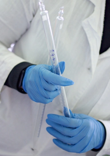 Я выращиваю мебель из&nbsp;грибов и&nbsp;мусора. Посмотрите сами